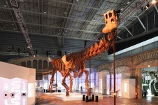 みなとみらいPRセンターのプレスリリース画像4