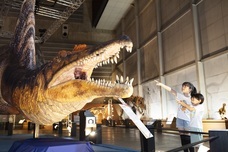 みなとみらいPRセンターのプレスリリース画像2