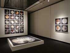 みなとみらいPRセンターのプレスリリース画像3