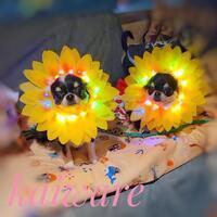 みなとみらいPRセンターのプレスリリース画像3