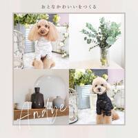 みなとみらいPRセンターのプレスリリース画像5