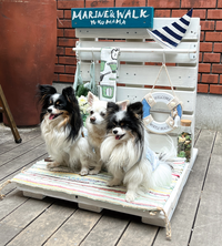 みなとみらいPRセンターのプレスリリース画像8