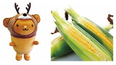 みなとみらいPRセンターのプレスリリース画像13