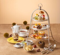 みなとみらいPRセンターのプレスリリース画像5