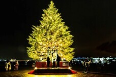 みなとみらいPRセンターのプレスリリース画像1