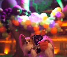 みなとみらいPRセンターのプレスリリース画像6