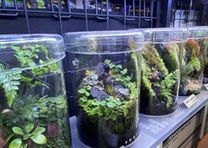 みなとみらいPRセンターのプレスリリース画像11