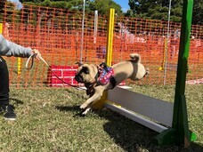 みなとみらいPRセンターのプレスリリース画像5