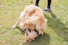 みなとみらいPRセンターのプレスリリース画像6