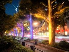 みなとみらいPRセンターのプレスリリース画像4