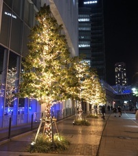 みなとみらいPRセンターのプレスリリース画像15