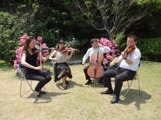 みなとみらいPRセンターのプレスリリース画像16