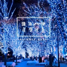 みなとみらいPRセンターのプレスリリース画像10