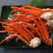 みなとみらいPRセンターのプレスリリース画像2