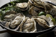 みなとみらいPRセンターのプレスリリース画像2