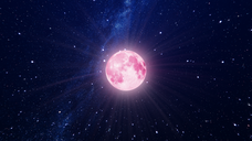 みなとみらいPRセンターのプレスリリース画像3