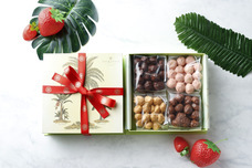 みなとみらいPRセンターのプレスリリース画像2