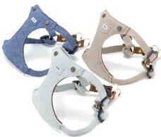 みなとみらいPRセンターのプレスリリース画像2