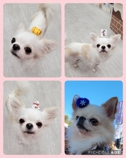 みなとみらいPRセンターのプレスリリース画像11