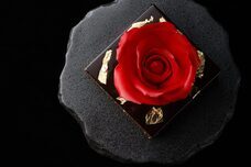 みなとみらいPRセンターのプレスリリース画像1