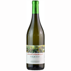 みなとみらいPRセンターのプレスリリース画像14