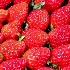 みなとみらいPRセンターのプレスリリース画像16