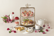 みなとみらいPRセンターのプレスリリース画像1