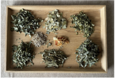 みなとみらいPRセンターのプレスリリース画像10