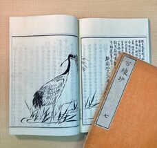 みなとみらいPRセンターのプレスリリース画像5