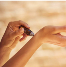 みなとみらいPRセンターのプレスリリース画像4