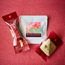 みなとみらいPRセンターのプレスリリース画像7