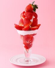 みなとみらいPRセンターのプレスリリース画像8