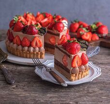 みなとみらいPRセンターのプレスリリース画像6