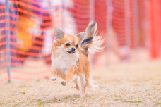 みなとみらいPRセンターのプレスリリース画像3