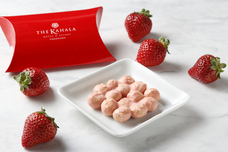 みなとみらいPRセンターのプレスリリース画像14