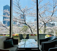 みなとみらいPRセンターのプレスリリース画像1