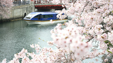 みなとみらいPRセンターのプレスリリース画像1