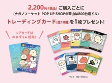 みなとみらいPRセンターのプレスリリース画像7