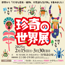 みなとみらいPRセンターのプレスリリース画像8