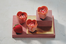 みなとみらいPRセンターのプレスリリース画像5