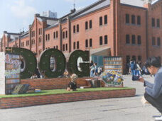 みなとみらいPRセンターのプレスリリース画像10