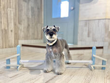 みなとみらいPRセンターのプレスリリース画像7