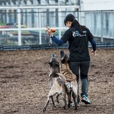 みなとみらいPRセンターのプレスリリース画像4