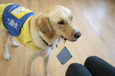 みなとみらいPRセンターのプレスリリース画像5