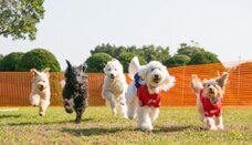 みなとみらいPRセンターのプレスリリース画像9