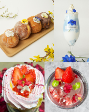 みなとみらいPRセンターのプレスリリース画像5