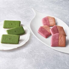 みなとみらいPRセンターのプレスリリース画像2