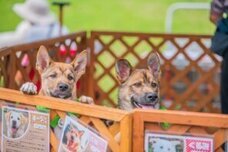 みなとみらいPRセンターのプレスリリース画像4