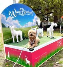 みなとみらいPRセンターのプレスリリース画像5