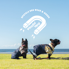 みなとみらいPRセンターのプレスリリース画像2